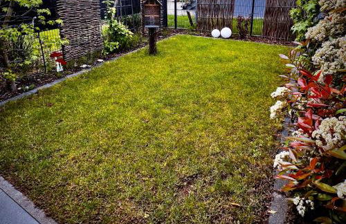 Mittendrin Ortenau - Foto 25