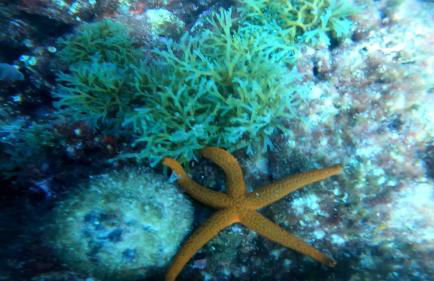 El buen sol de la manga - Foto 42