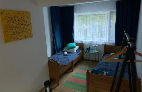 Dobry Wybór - Foto 12