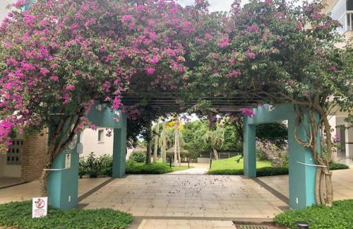 Apartamento Costão das Gaivotas - Praia do Santinho - Ingleses - Florianópolis - Photo 56