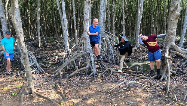 Monkey Island und Mangrovenwald - Private Ganztagestour - Foto 5