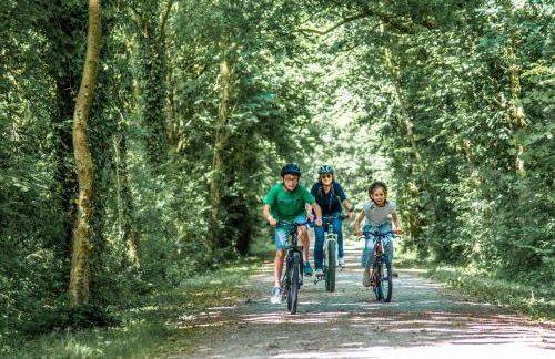 Gîte Martin pêcheur au coeur de la nature - Foto 26