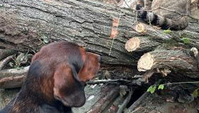 Agriturismo I Leprotti - Photo 5