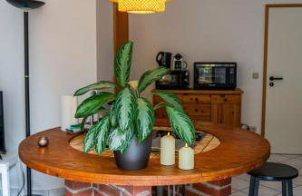 Studio mit Terrasse bei Frankfurt - Foto 7