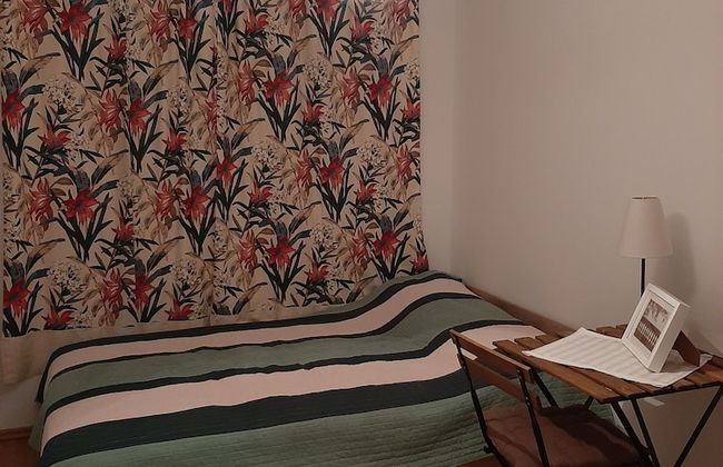 Apartments Trstenica - Foto 19