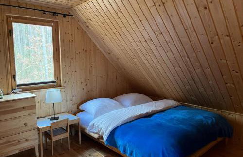 Domek całoroczny HAWAJE nad jeziorem Kazub - Foto 8