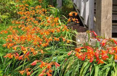The Studio, Upper House Farm, Crickhowell. - Photo 8
