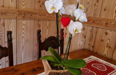 La Maison Des Coeurs, Cogne - Foto 8