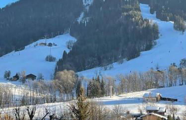 Charmant studio + jardin vue pistes et local velo - Foto 11