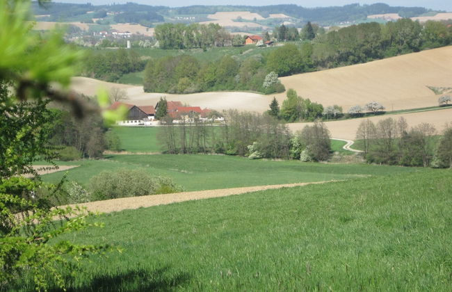Wohnung in Rotthalmunster mit Garten - Foto 14