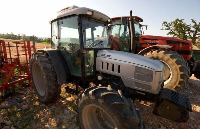 Agriturismo Le Bucoliche - Foto 45