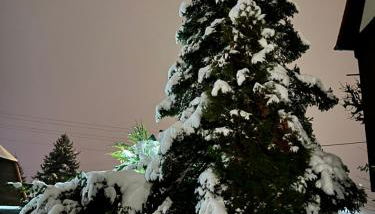 Ferienwohnung - Foto 4