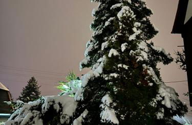 Ferienwohnung - Foto 4