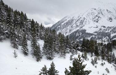 Spacious Country House for 8 near Olot Remote Work & Nature Escape - Photo 65