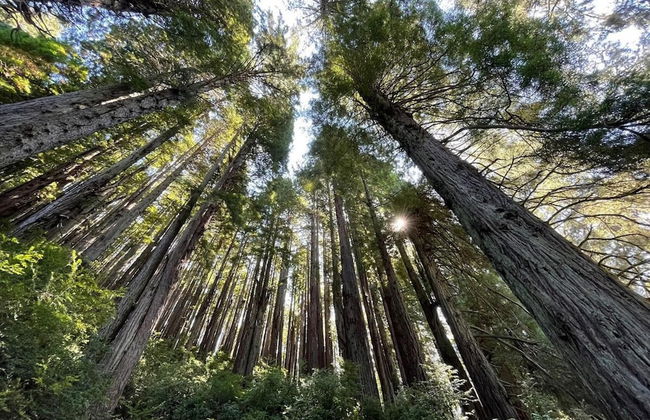 Ocean Front Cabin 17 Jacuzzi Remarkable Views - Foto 44