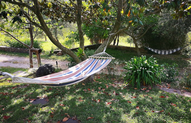 La Tinaia Country House - Photo 62