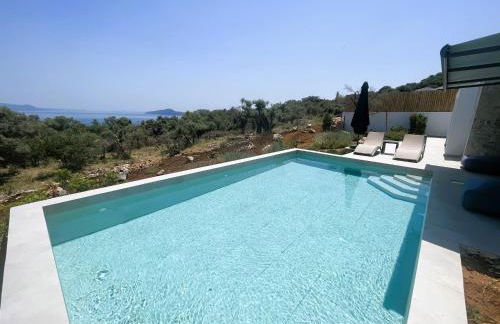 Mesogi Villas, brand new modern, stylish villas, private pool, seaviews - Photo 69