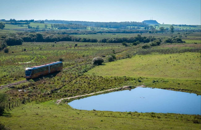 Paseo en el Tren de Pampa + Visita a la bodega Almadén - Foto 6