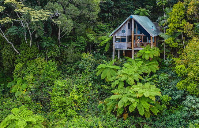 Rose Gums Wilderness Retreat - Foto 1