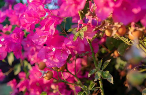 Luxury Suites in Stavromenos - Photo 29