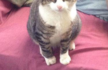 Church Farm - Foto 23