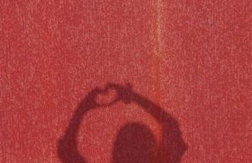 CAMPO DE SOBARBO - Guest House rural - Foto 2