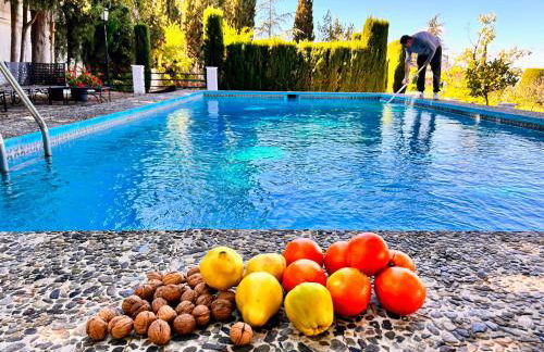 LA CASILLA - Foto 11