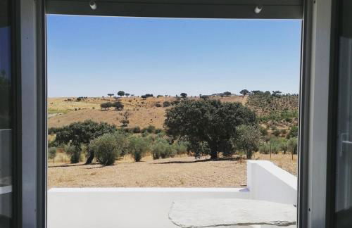 Monte Beatriz - Foto 13