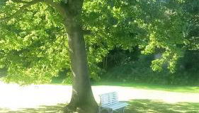 Ferienwohnung Haus am Wald - Foto 5, Garden view