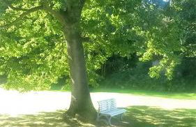 Ferienwohnung Haus am Wald - Foto 5