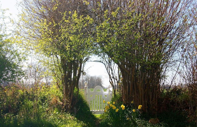 House in Damp Near Baltic Sea Beach - Foto 20