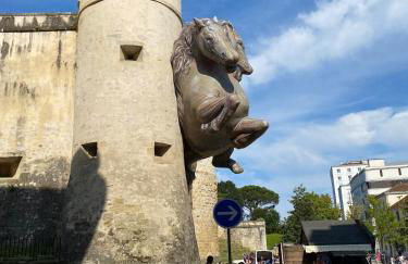 Rooftop en centre ville - Foto 6