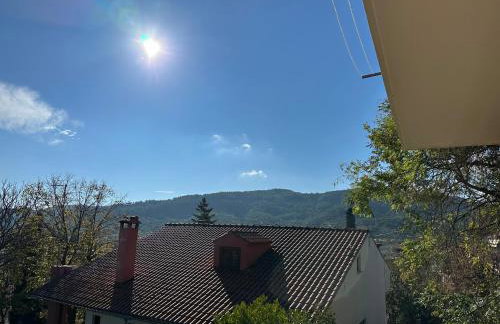 Angela House - Photo 25