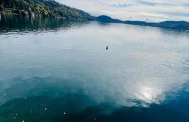 lake view cottage beach - Photo 10