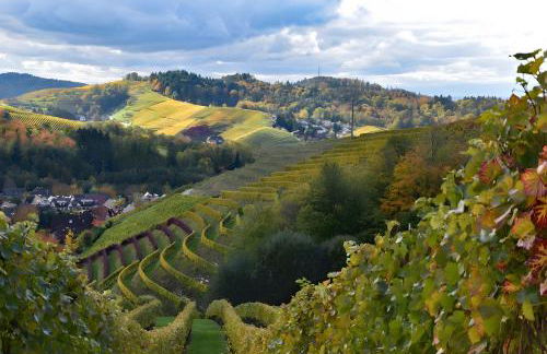 Relax Oase - Foto 29