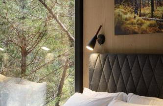 Lakeside ÖÖD Mirror Cabin #2- Austin Nature Stay - Foto 5