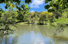Cabanas Jardim de Tereza - Foto 31