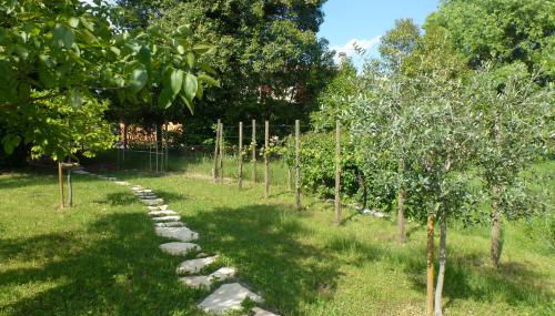 Casa Kaletheia - Foto 4, Garden