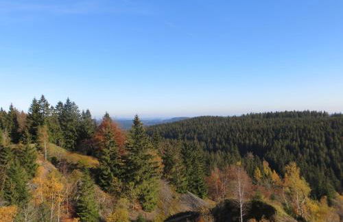 Ferienwohnungen Breternitz - Photo 18