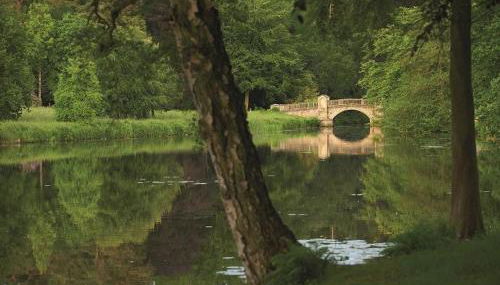 The Potting Shed - Foto 2