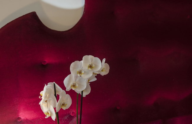 Corso Vittorio Apartments - Foto 141