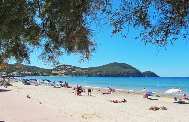 Les Palmiers - Foto 20