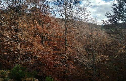 Dúplex con piscina climatizada y sauna, El último rincón - Foto 41