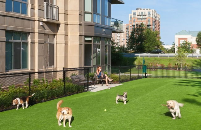 Bluebird Suites in Reston - Photo 57