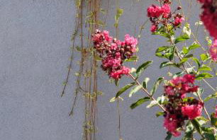 Luxury apartment Alba with pool - Photo 46