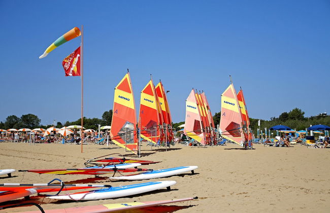 Calycanthus - Foto 49