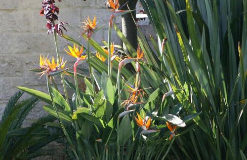 Villa Zenovia - Photo 10