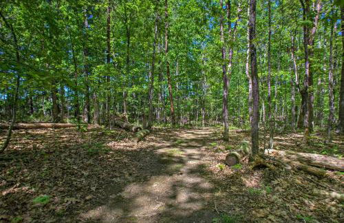 Numerous On-Site Trails Earlysville Wooded Cabin - Foto 25