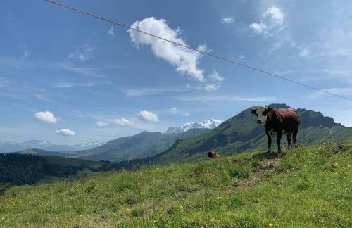 Charming Bright Spacious Village Walk to lift Hike - Foto 45