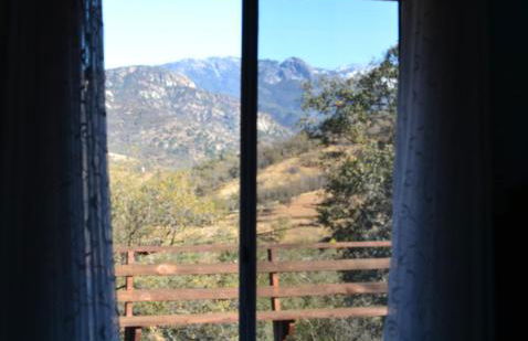 Shady Knoll - Photo 29